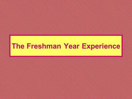 The Freshman Year Experience. FYE The program is designed primarily for undecided students Two-semesters long Student development program.
