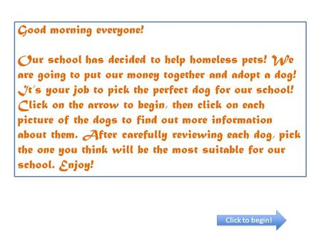 Good morning everyone! Our school has decided to help homeless pets! We are going to put our money together and adopt a dog! It’s your job to pick the.