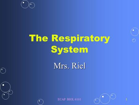ECAP BIOL 61011 The Respiratory System Mrs. Riel.