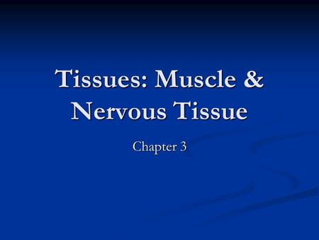 Tissues: Muscle & Nervous Tissue Chapter 3. Muscle Tissue Slide 3.64 Copyright © 2003 Pearson Education, Inc. publishing as Benjamin Cummings  Function.