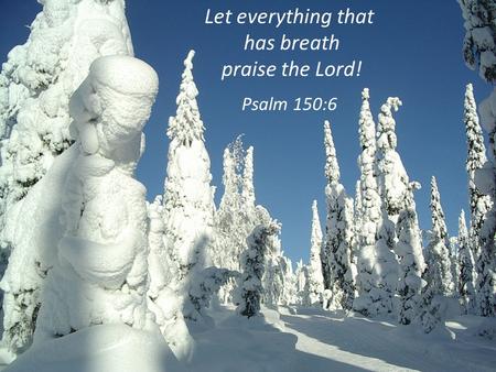 Let everything that has breath praise the Lord! Psalm 150:6.