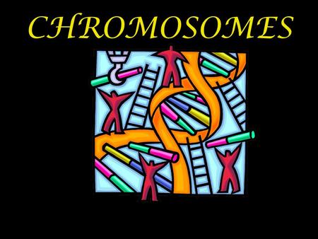 CHROMOSOMES.