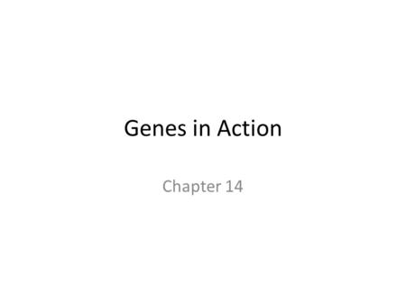 Genes in Action Chapter 14. Sex Linked Traits Another way for traits to be passed on is by being sex linked Female Chromosomes: XX Male Chromosomes: Xy.