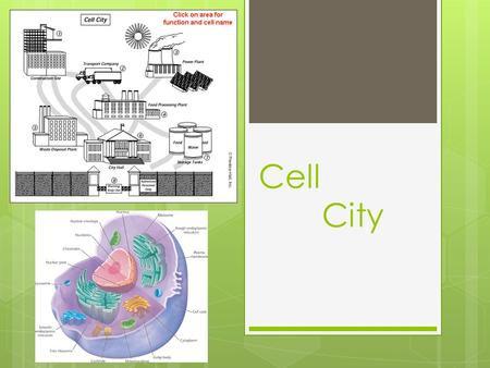 Cell City. Introduction  This Webquest is designed to aid students in learning the basic parts of the cell. The student will be required to research.