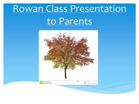 Rowan Class Presentation to Parents.  Mrs Philippa Carter– Class Teacher, Deputy Head and Maths Subject Leader  Mrs Linda May – Teaching Assistant 