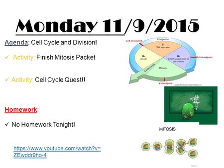 Monday 11/9/2015 Agenda: Cell Cycle and Division!