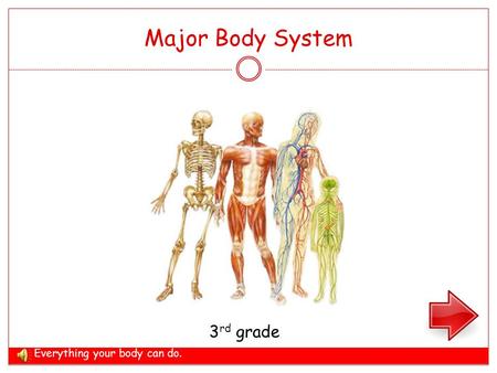 Major Body System 3 rd grade Everything your body can do.