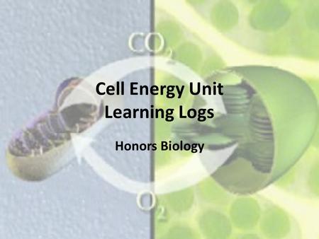 Cell Energy Unit Learning Logs Honors Biology. Do Now What is the purpose of photosynthesis? Day 1.