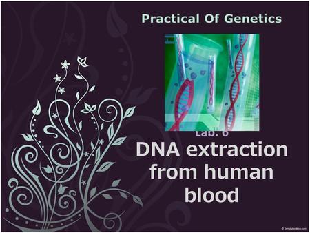 Lab. 6 DNA extraction from human blood. Be introduced to the laboratory techniques involved in DNA extraction. Test DNA integrity using gel electrophoresis.