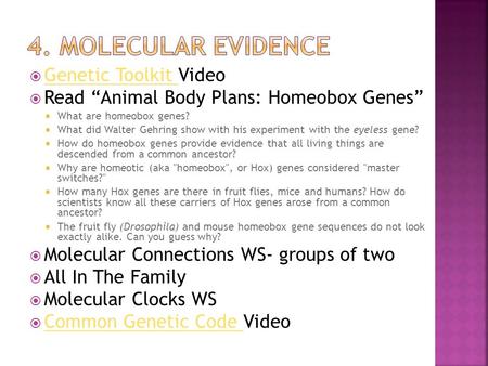  Genetic Toolkit Video Genetic Toolkit  Read “Animal Body Plans: Homeobox Genes”  What are homeobox genes?  What did Walter Gehring show with his experiment.