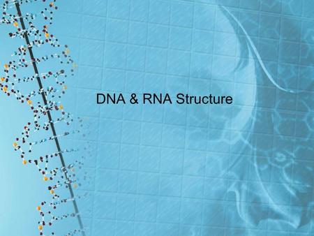 DNA & RNA Structure.
