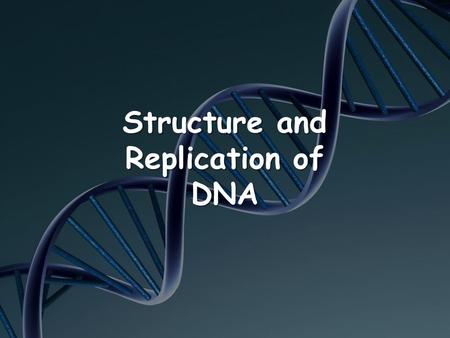 Structure and Replication of DNA. OBJECTIVES Identify components of DNA, and describe how information for specifying the traits of an organism is carried.
