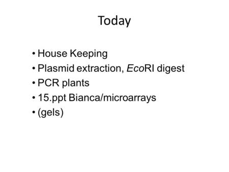 Today House Keeping Plasmid extraction, EcoRI digest PCR plants 15.ppt Bianca/microarrays (gels)