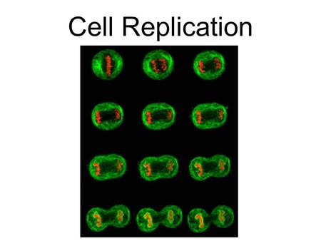 Cell Replication. Binary Fission is how prokaryotic cells (bacteria) copy themselves. The DNA copies and separates, and the cell wall splits the cell.