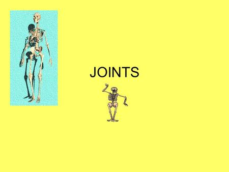 JOINTS. Outcomes By the end of this lesson, you will be able to: Know what the 3 main types of joint are. Know where each can be found. Understand what.
