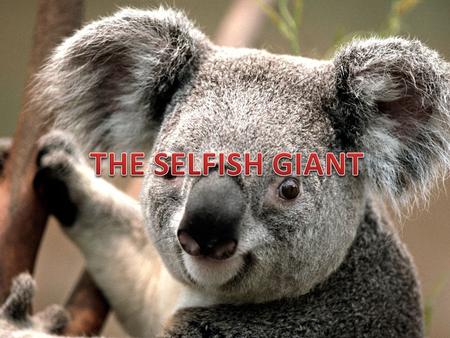 Comprehension Check-- I 1.Why is the Giant called selfish ? The Giant is called selfish because he did not allow the children to play in his beautiful.