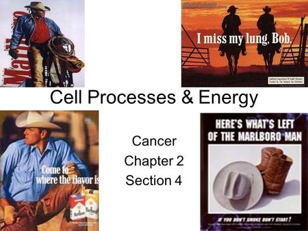 Cell Processes & Energy Cancer Chapter 2 Section 4.