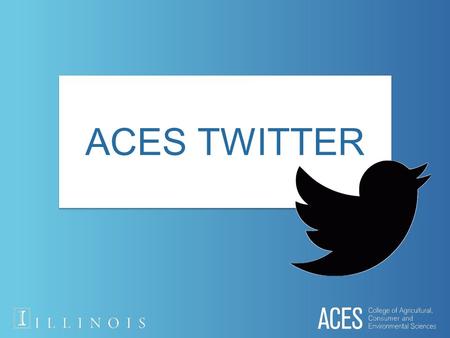 ACES TWITTER. What is a tweet? 140 character social media posting on Twitter.