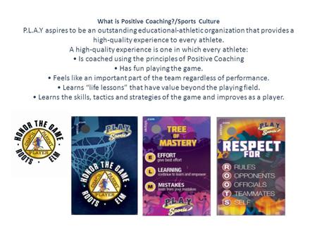 What is Positive Coaching?/Sports Culture P.L.A.Y aspires to be an outstanding educational-athletic organization that provides a high-quality experience.