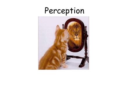 Perception. The process of organizing, and interpreting sensory information enabling us to recognize meaningful objects and events Example: