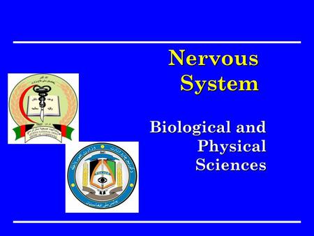 Biological and Physical Sciences Nervous System. Objective Identify the nerve cell, transmission, central and peripheral nervous systems in relation of.