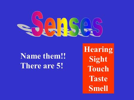 Name them!! There are 5! Hearing Sight Touch Taste Smell.