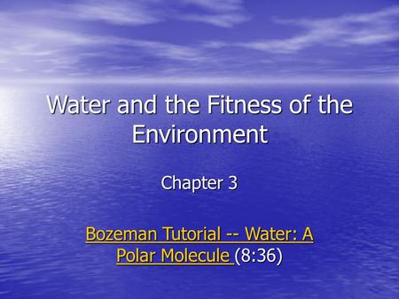 Water and the Fitness of the Environment