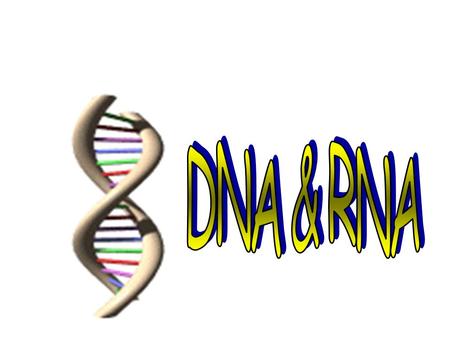 DNA was discovered in 1953 by James Watson and Francis Crick.