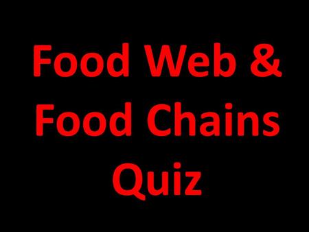 Food Web & Food Chains Quiz 1. an animal that eats only other animals A. consumer B. herbivore C. carnivore D. omnivore.