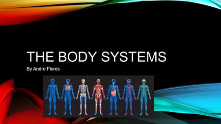 THE BODY SYSTEMS By Andre Flores. CIRCULATORY SYSTEM.
