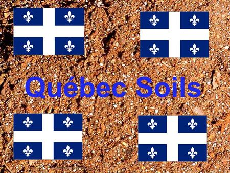 Québec Soils. Wet-Climate Soils Around 80% of Quebec’s soil is Wet- Climate. Wet-Climate Soil is just as it sounds: Soil in a wet climate. In this area,