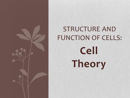 Cell Theory STRUCTURE AND FUNCTION OF CELLS:. Discovery of Cells Cells were discovered with the invention of the MICROSCOPE in the early 17 th century.