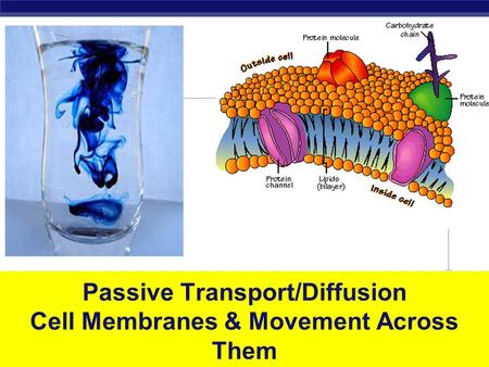 Regents Biology Passive Transport/Diffusion Cell Membranes & Movement Across Them.