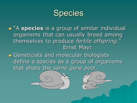 Species  “A species is a group of similar individual organisms that can usually breed among themselves to produce fertile offspring.” Ernst Mayr  Geneticists.