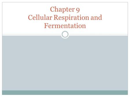Chapter 9 Cellular Respiration and Fermentation