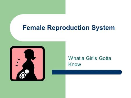Female Reproduction System What a Girl’s Gotta Know.