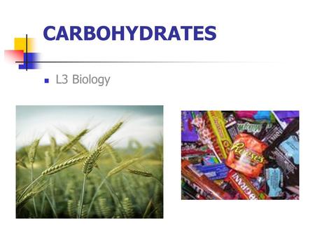CARBOHYDRATES L3 Biology. Make the above structures (hydroxyl group on Carbon) Perform Dehydration Synthesis!