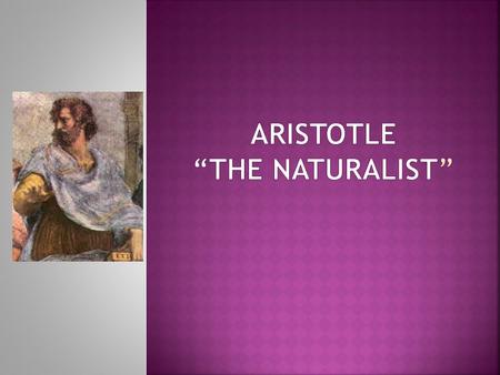 Aristotle is sometimes said to have brought philosophy down to earth, because he combined the study of humanity and nature. He stands alone as an archetype.