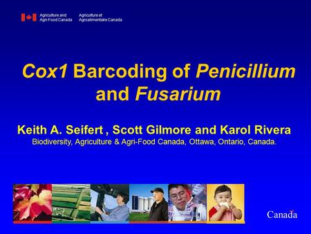 Cox1 Barcoding of Penicillium and Fusarium Keith A. Seifert, Scott Gilmore and Karol Rivera Biodiversity, Agriculture & Agri-Food Canada, Ottawa, Ontario,
