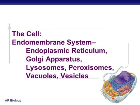 AP Biology 2005- 2006 The Cell: Endomembrane System– Endoplasmic Reticulum, Golgi Apparatus, Lysosomes, Peroxisomes, Vacuoles, Vesicles.