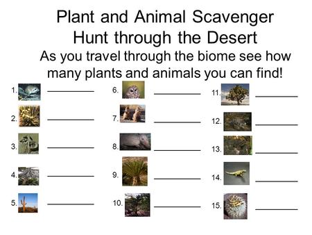 Plant and Animal Scavenger Hunt through the Desert As you travel through the biome see how many plants and animals you can find! 1. 2. 3. 4. 5. 6. 7. 8.