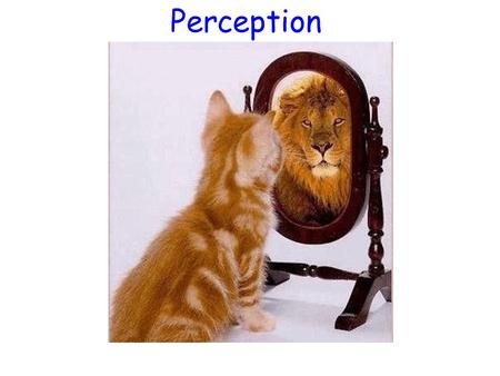 Perception. Gestalt Psychology Gestalt means “an organized whole.” These psychologists emphasize our tendency to integrate pieces of information into.