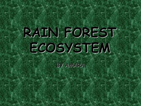 RAIN FOREST ECOSYSTEM BY AMARA. LOCATION Almost all rain forests are near the equator. They occupy large areas in Africa, Asia, and Central and South.