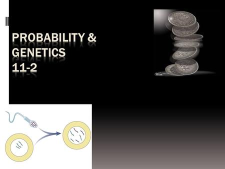 Genetics & Probability  Mendel’s laws:  segregation  independent assortment reflect same laws of probability that apply to tossing coins or rolling.