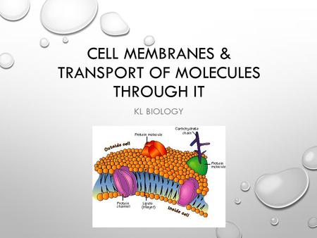 Cell Membranes & transport of molecules through it