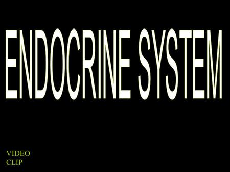 VIDEO CLIP. ENDOCRINE V. EXOCRINE ENDOCRINE “into” Releases substance (hormone) into the bloodstream EXOCRINE “out of” Releases substance into a duct.