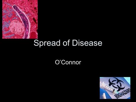 Spread of Disease O’Connor. Infectious diseases spread through two types of contact Direct contact Indirect contact.