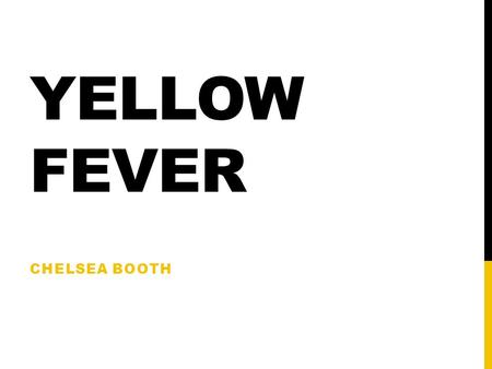 Yellow fever Chelsea Booth.