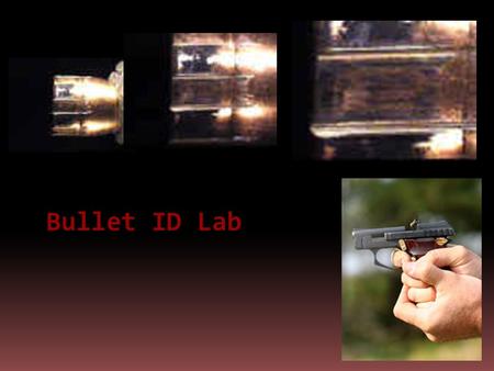 Bullet ID Lab.  Macroscope mag 5-40X  Water tank to obtain the standards for the bullet.