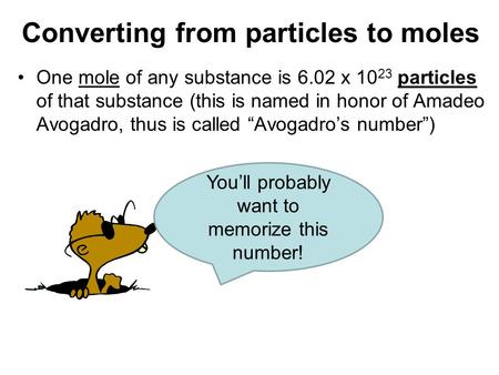 One mole of any substance is 6.02 x 10 23 particles of that substance (this is named in honor of Amadeo Avogadro, thus is called “Avogadro’s number”) You’ll.